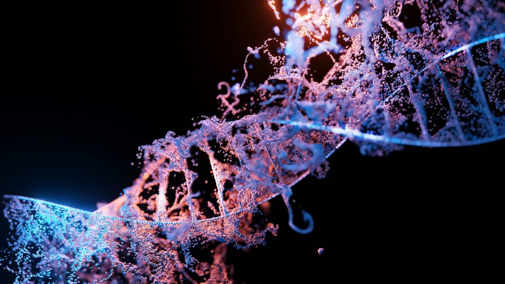 fibromialgia e genetica 2026